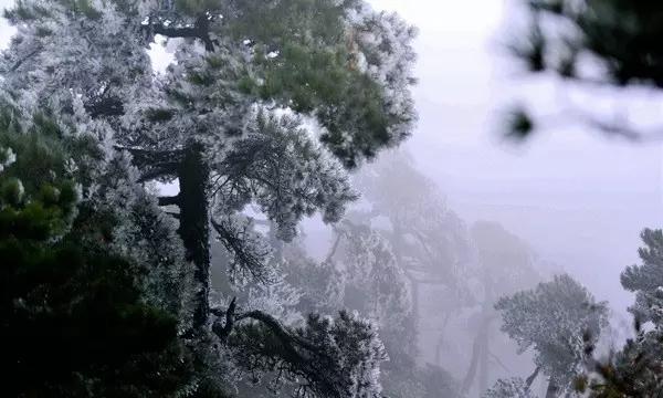 “没有人的服务”无人自助棋牌室靠谱吗?